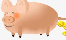 1971年属猪男2022年运势及运程如何 71年51岁生肖猪2022虎年全年每月运势男性