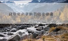 虎年犯太岁的属相有哪些