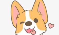 1970年属狗男2022年运势及运程如何 70年52岁生肖狗2022虎年全年每月运势男性