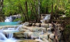 属蛇女性格解析 她们很冷漠吗