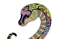 1989年属蛇女人2022年运势及运程如何 89年33岁生肖蛇2022年全年每月运势女性