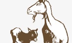 1967年属羊男2022年运势及运程如何 67年55岁生肖羊2022虎年全年每月运势男性