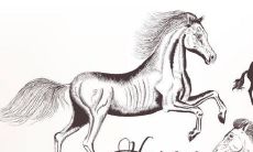 1990年属马女人2022年运势及运程如何 90年32岁生肖马2022年全年每月运势女性