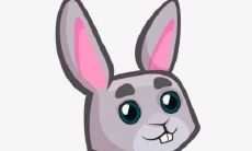 1963年属兔男2022年运势及运程如何 63年59岁生肖兔2022虎年全年每月运势男性