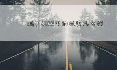 鸡男2022年的运势怎么样