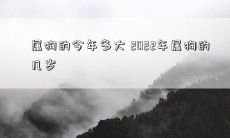 属狗的今年多大 2022年属狗的几岁