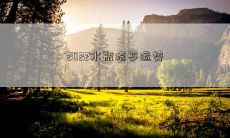 2022水瓶塔罗运势