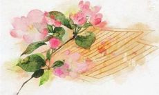 2022年属牛女运势1974年