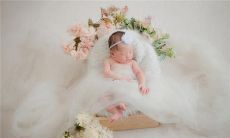 梦见家人被牛追是什么意思