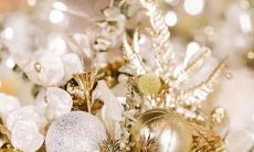 十二星座配对？b星