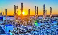 梦见杜松树周公解梦，梦见杜松树是什么意思？