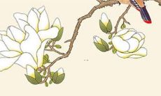 属鼠2022怀孕运势