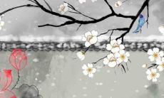 1978属马虎年运势2022年