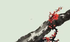 86年苦命虎2019年运势