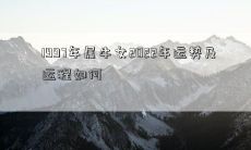 1997年属牛女2022年运势及运程如何