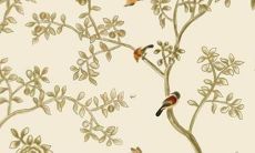 属狗的2022年7月份事业运势 运势很好