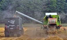 梦见床上有针是什么意思