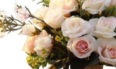 生日配对测试最佳配对星座伴侣