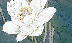 有一个十二星座逗逼同桌是什么体验