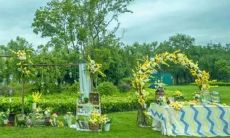 活着别喊苦 这些星座最能吃苦