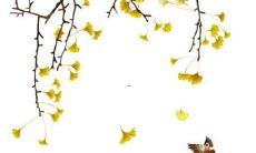 2022年下周最新运势