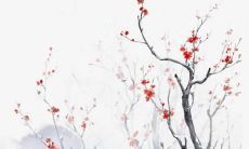 属狗的人适合戴银手镯吗 风水上怎么说