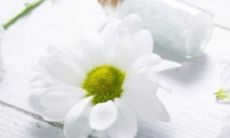 2023年兔年本命年应该穿红色吗