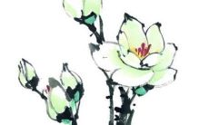 化太岁最有效的方法2022