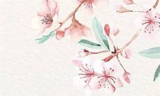 2022年虎人运程1974年男