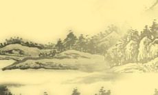 林志玲八字在2022年运势如何