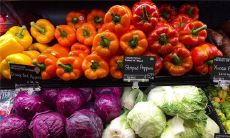 梦见彩色的蛇盘在沙发上是什么意思