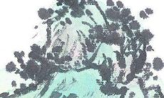 生肖狗2022年忌讳数字 属狗人要避开的属相