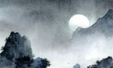 99属兔女2022运势