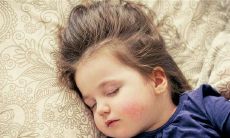 梦见家里来了条狗是什么意思