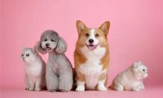 梦见河水很清澈是什么意思