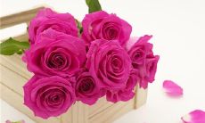 做梦老是梦见怀的是女孩什么意思是什么意思