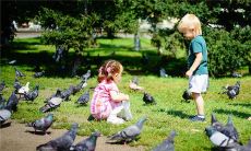 梦见给病重的母亲买棺材是什么意思