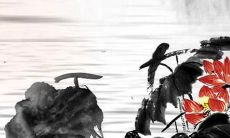 翡翠认主人一般要多久