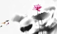 2022年属蛇每个月运势