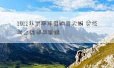 2022年下半年属狗发大财 责任与上进带来财运