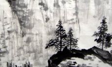 99年男命2022年运势