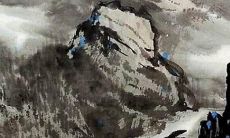 属兔在虎年2022年运势如何