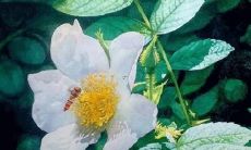 92年猴摩羯女2022年运势