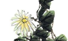 86年的虎2022年的运势免费