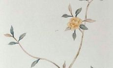 2022年虎年属猴的命运