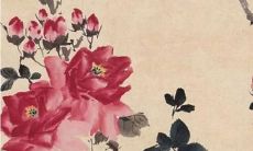 2022年火马命人运势如何