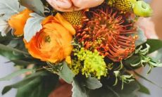 双鱼太阳星座是什么