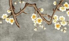 数羊双鱼女2022年运势如何