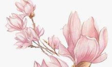 2022年属马的全年运势