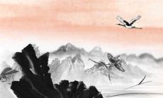 属虎年运势2022年颜色